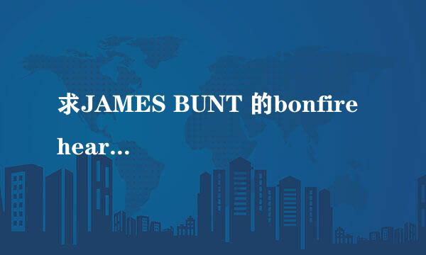 求JAMES BUNT 的bonfire heart的中文歌词