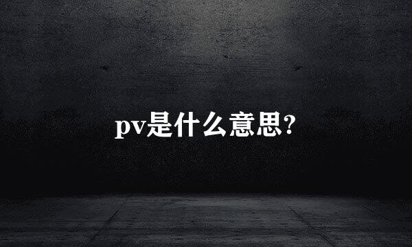 pv是什么意思?