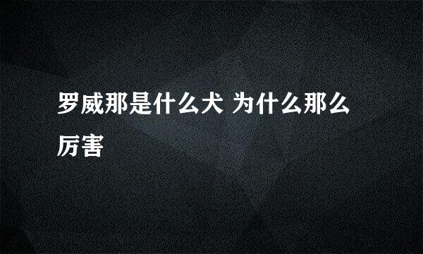 罗威那是什么犬 为什么那么厉害