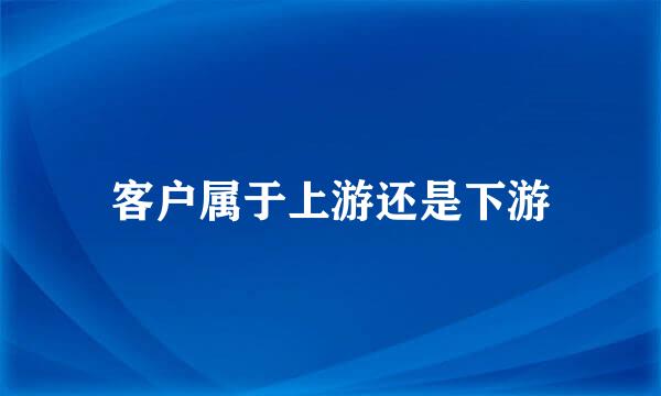 客户属于上游还是下游