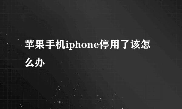 苹果手机iphone停用了该怎么办