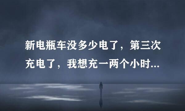 新电瓶车没多少电了，第三次充电了，我想充一两个小时可以吗，我想要用车