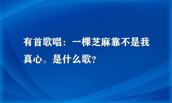 有首歌唱：一棵芝麻靠不是我真心。是什么歌？