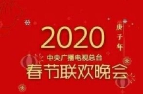 tcl电视上的华数电视有中央一台吗看春晚直播