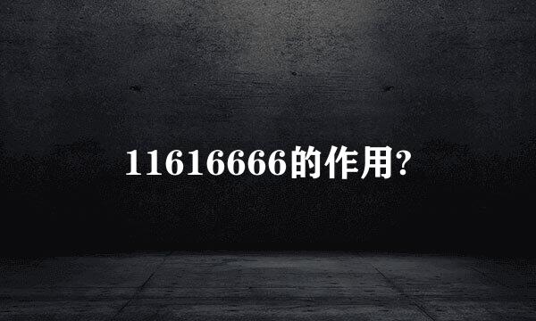 11616666的作用?