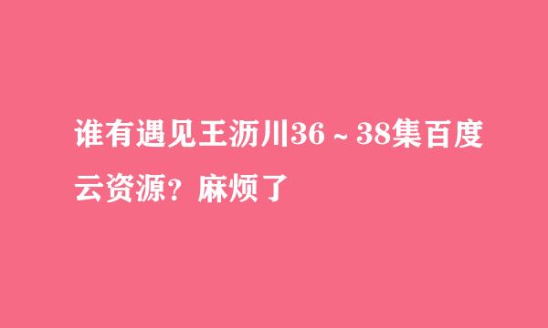 谁有遇见王沥川36～38集百度云资源？麻烦了