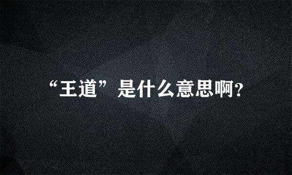 “王道”是什么意思啊？