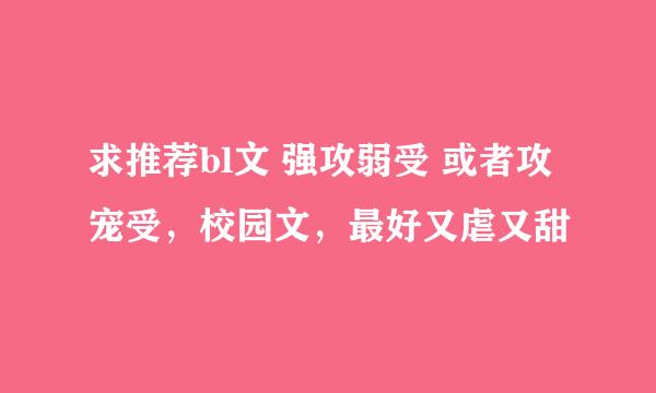 求推荐bl文 强攻弱受 或者攻宠受，校园文，最好又虐又甜