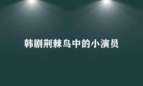 韩剧荆棘鸟中的小演员