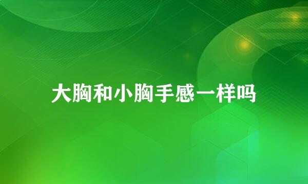 大胸和小胸手感一样吗