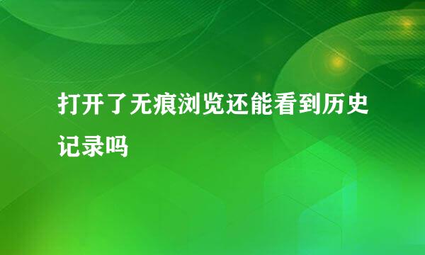 打开了无痕浏览还能看到历史记录吗