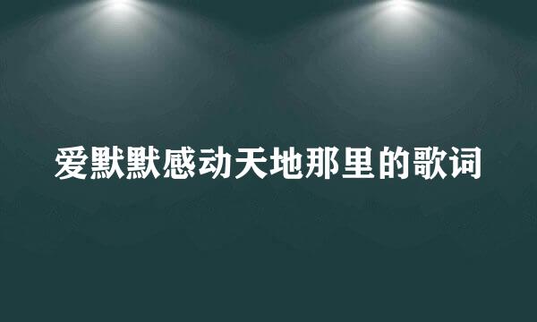 爱默默感动天地那里的歌词