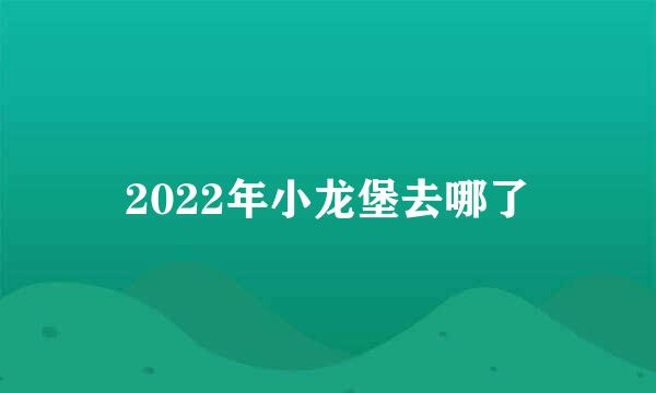 2022年小龙堡去哪了