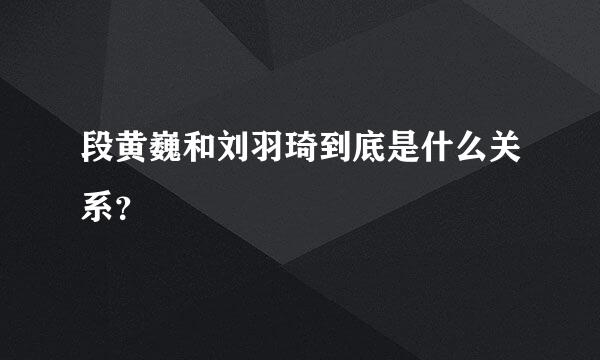 段黄巍和刘羽琦到底是什么关系？