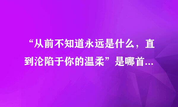 “从前不知道永远是什么，直到沦陷于你的温柔”是哪首歌的歌词？