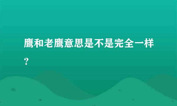 鹰和老鹰意思是不是完全一样？