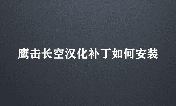 鹰击长空汉化补丁如何安装