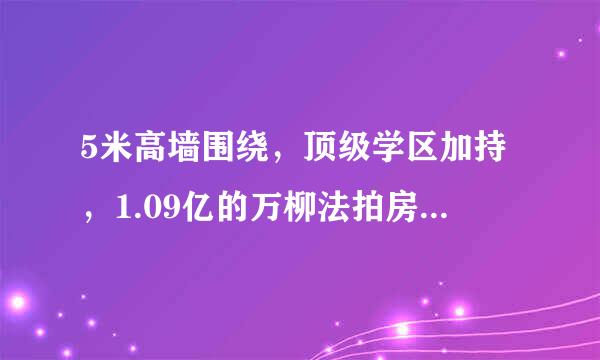 5米高墙围绕，顶级学区加持，1.09亿的万柳法拍房藏着啥秘密？