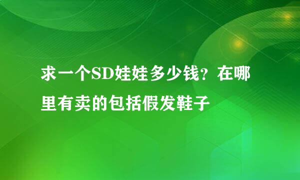 求一个SD娃娃多少钱？在哪里有卖的包括假发鞋子