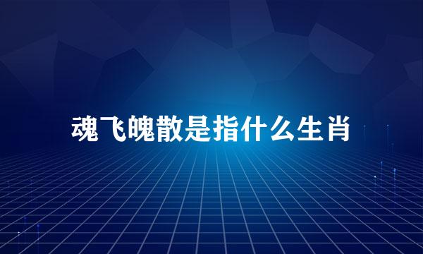 魂飞魄散是指什么生肖