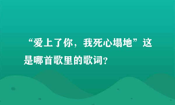 “爱上了你，我死心塌地”这是哪首歌里的歌词？