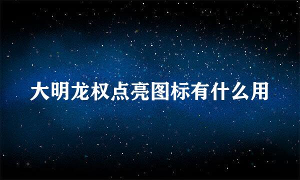 大明龙权点亮图标有什么用