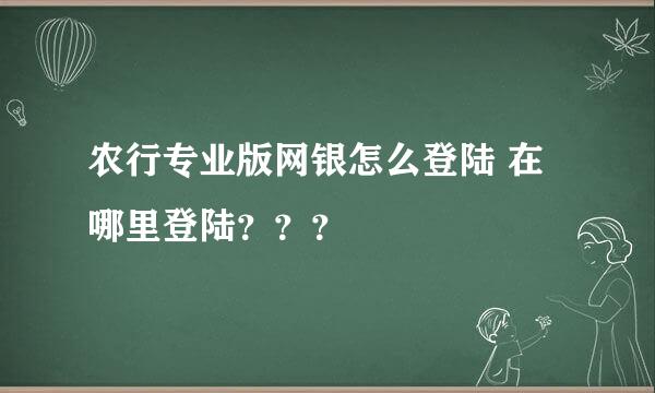 农行专业版网银怎么登陆 在哪里登陆？？？