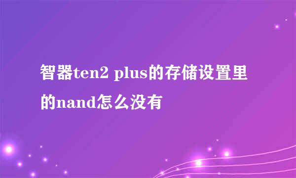 智器ten2 plus的存储设置里的nand怎么没有