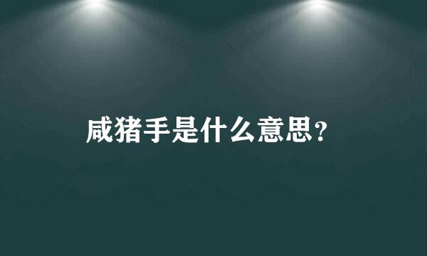 咸猪手是什么意思？