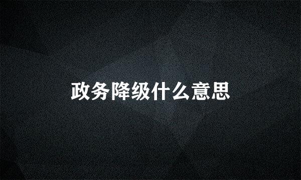 政务降级什么意思