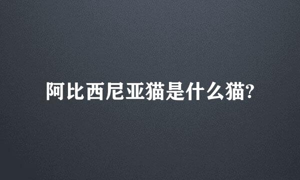 阿比西尼亚猫是什么猫?