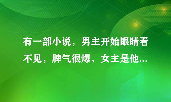 有一部小说，男主开始眼睛看不见，脾气很爆，女主是他父亲给他买的生日礼物,谁知道叫什么名字？？谢谢！