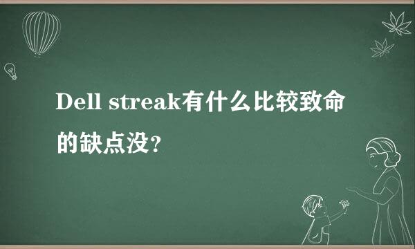 Dell streak有什么比较致命的缺点没？