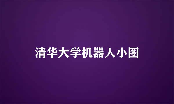 清华大学机器人小图