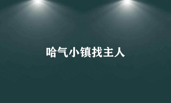 哈气小镇找主人