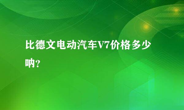 比德文电动汽车V7价格多少呐？