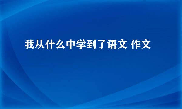 我从什么中学到了语文 作文