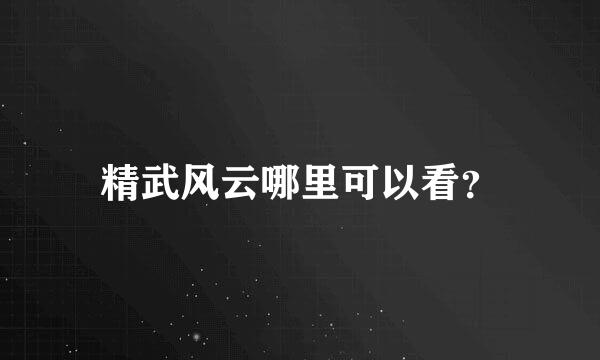 精武风云哪里可以看？