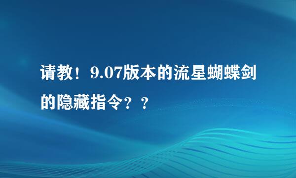 请教！9.07版本的流星蝴蝶剑的隐藏指令？？