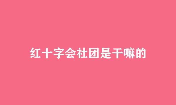 红十字会社团是干嘛的