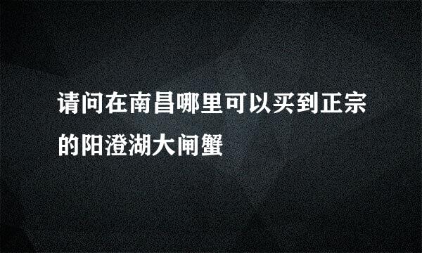 请问在南昌哪里可以买到正宗的阳澄湖大闸蟹