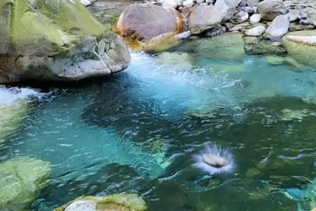 彭州山洪现场画面太惨烈，一对当场被洪水卷走的父子现状如何？