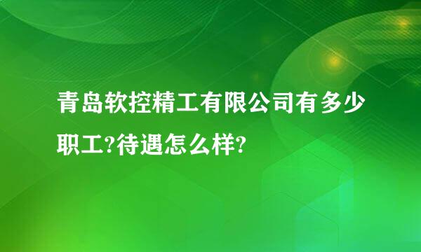 青岛软控精工有限公司有多少职工?待遇怎么样?