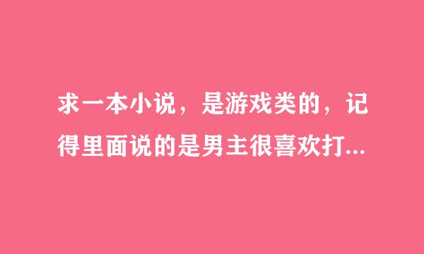 求一本小说，是游戏类的，记得里面说的是男主很喜欢打游戏是带头盔的