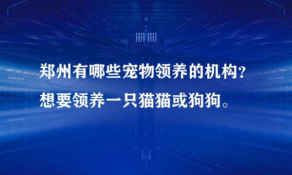 郑州有哪些宠物领养的机构？想要领养一只猫猫或狗狗。