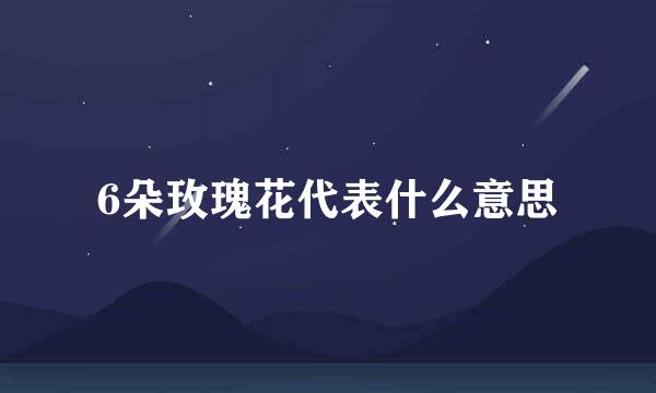 6朵玫瑰花代表什么意思