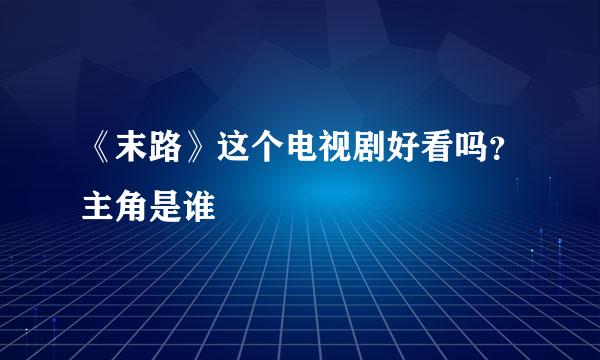 《末路》这个电视剧好看吗？主角是谁