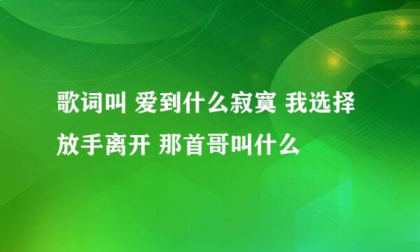 歌词叫 爱到什么寂寞 我选择放手离开 那首哥叫什么