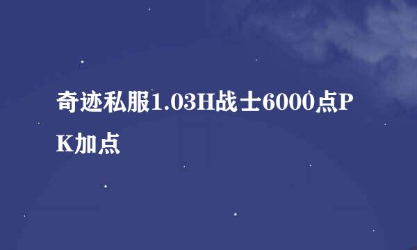 奇迹私服1.03H战士6000点PK加点