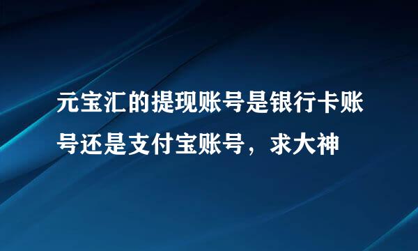 元宝汇的提现账号是银行卡账号还是支付宝账号，求大神